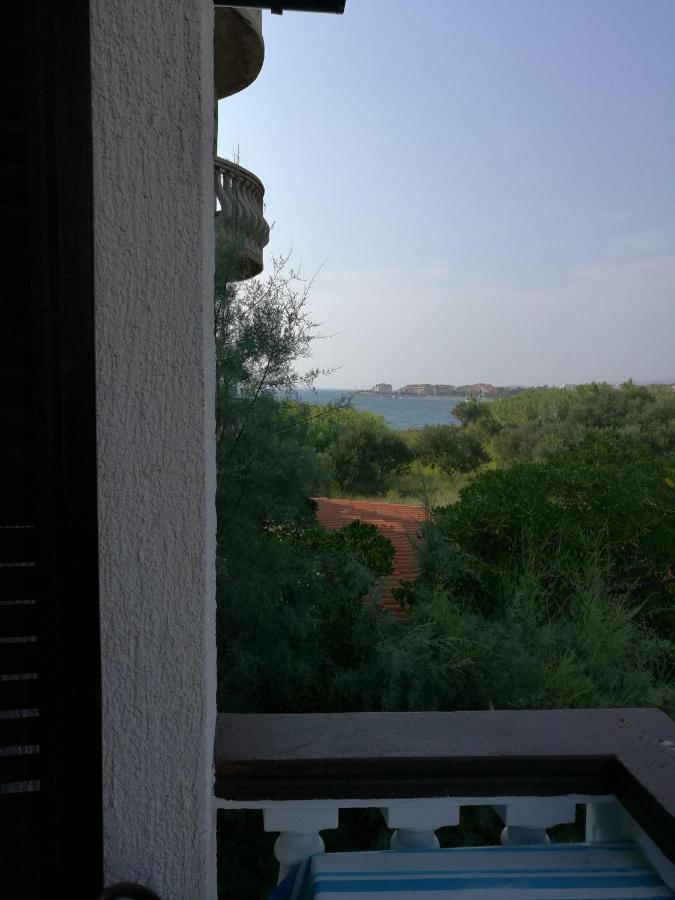 Apartments Mint Povljana - 50M From Sandy Beach Zewnętrze zdjęcie