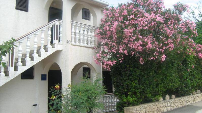 Apartments Mint Povljana - 50M From Sandy Beach Zewnętrze zdjęcie
