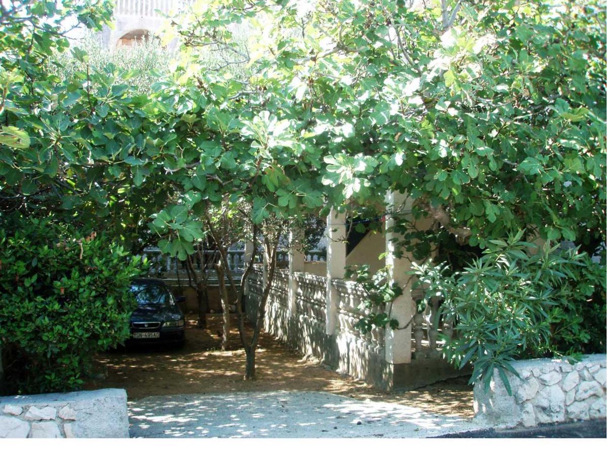 Apartments Mint Povljana - 50M From Sandy Beach Zewnętrze zdjęcie
