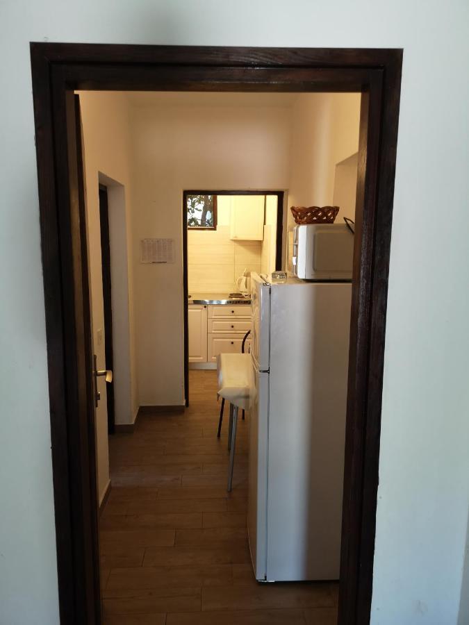Apartments Mint Povljana - 50M From Sandy Beach Zewnętrze zdjęcie
